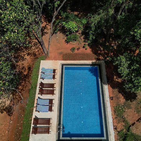 Isanka Lion Lodge Sigiriya Exterior foto