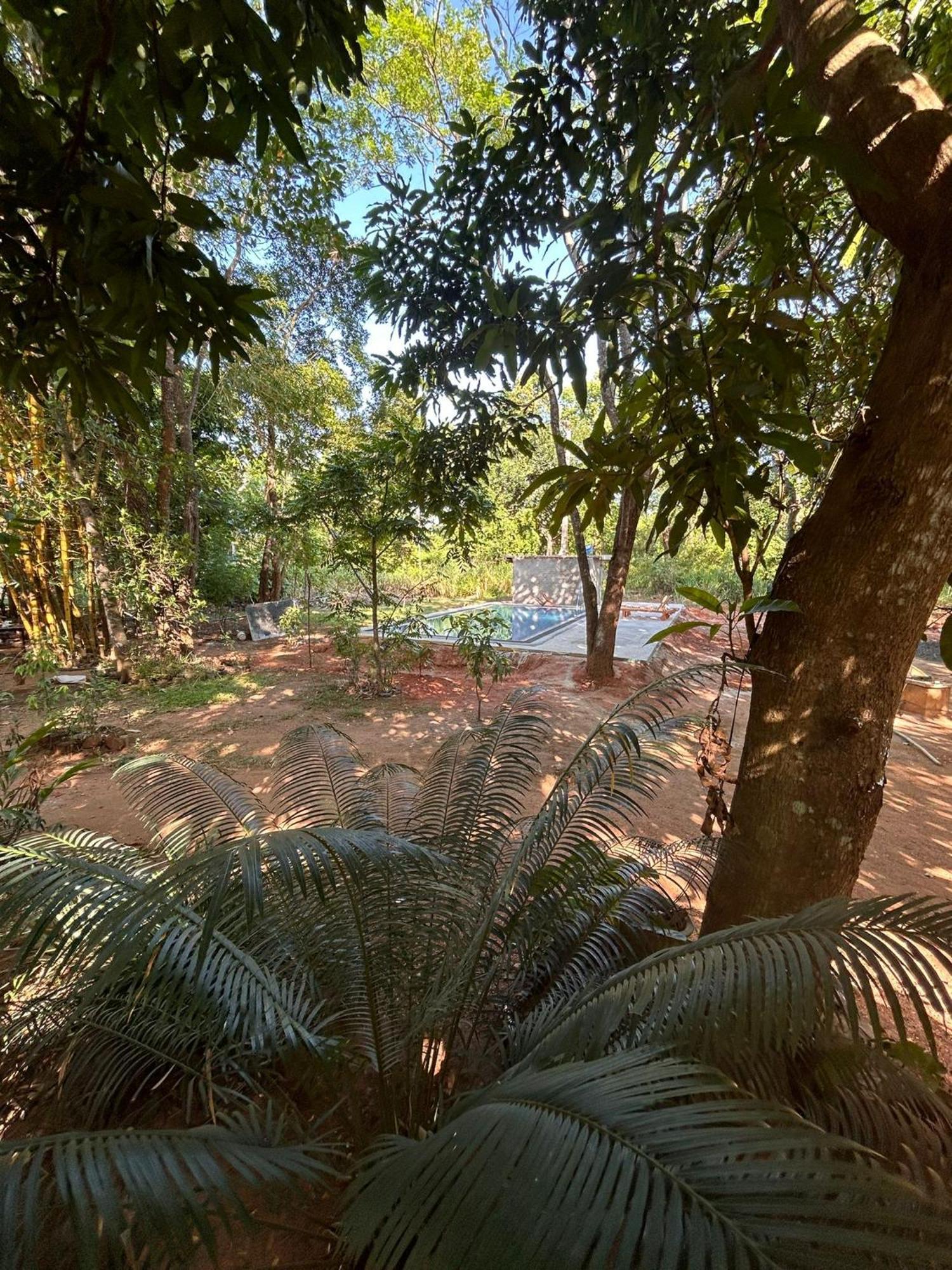 Isanka Lion Lodge Sigiriya Exterior foto