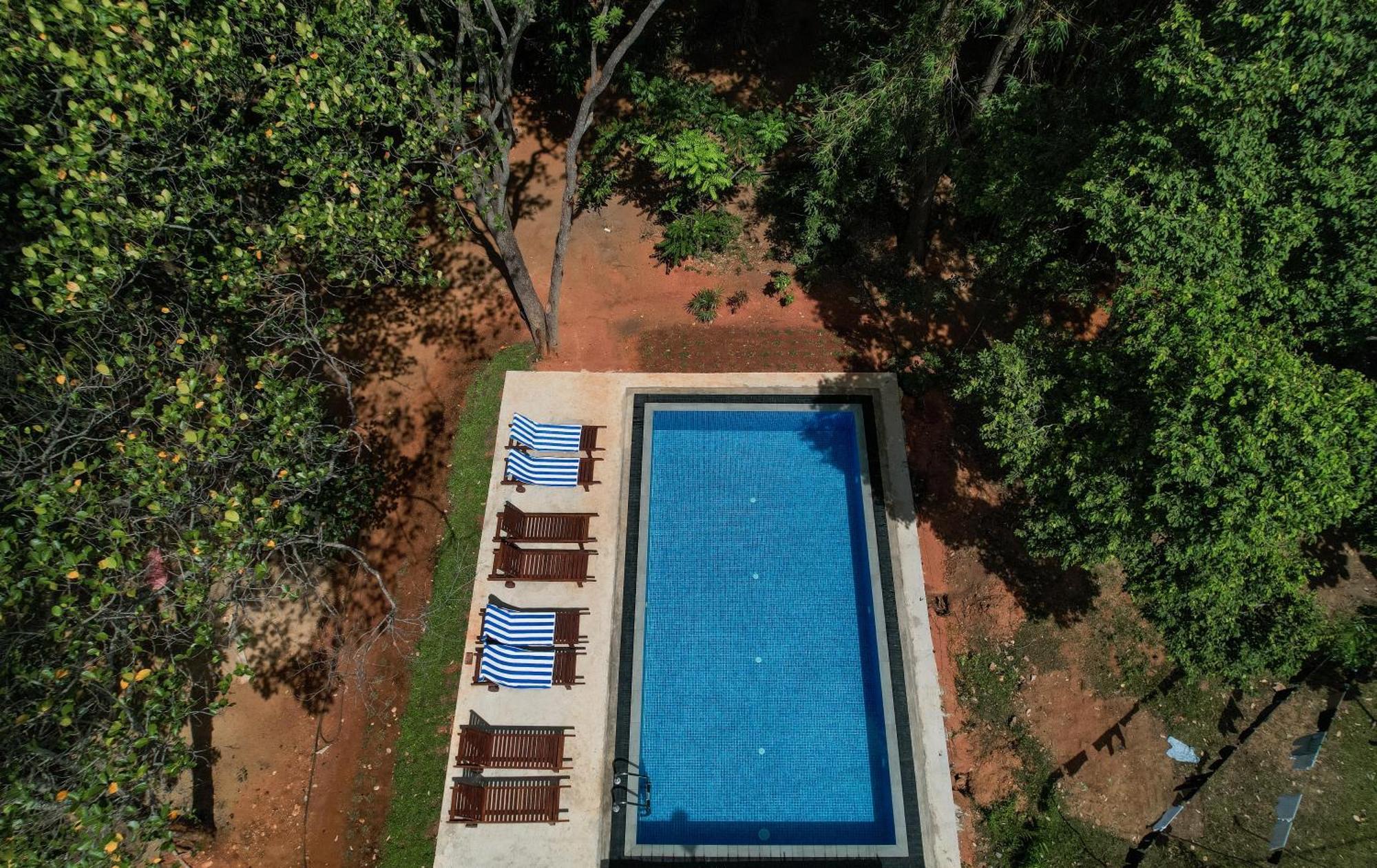 Isanka Lion Lodge Sigiriya Exterior foto